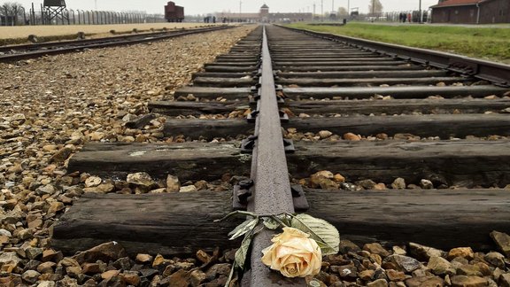 Rose auf Schienen in Auschwitz Birkenau - Foto: Hoffleit