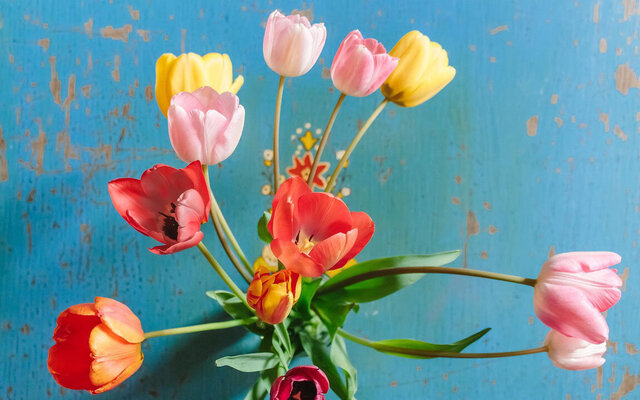 Tulpenstrauß - Foto: Pixabay